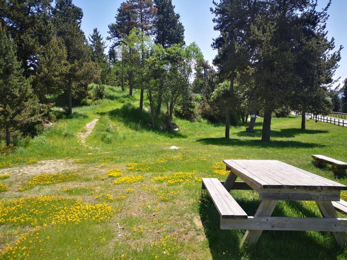Apt Confortable Au Pied Des Pistes Et De La Foret Bolquere Pyrenees 2000 エクステリア 写真