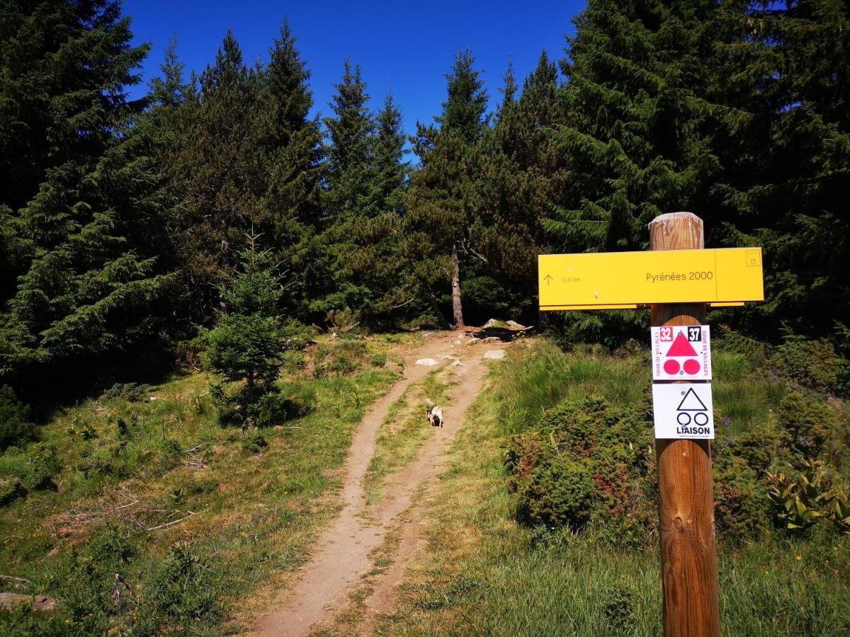 Apt Confortable Au Pied Des Pistes Et De La Foret Bolquere Pyrenees 2000 エクステリア 写真