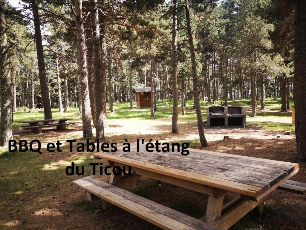 Apt Confortable Au Pied Des Pistes Et De La Foret Bolquere Pyrenees 2000 エクステリア 写真